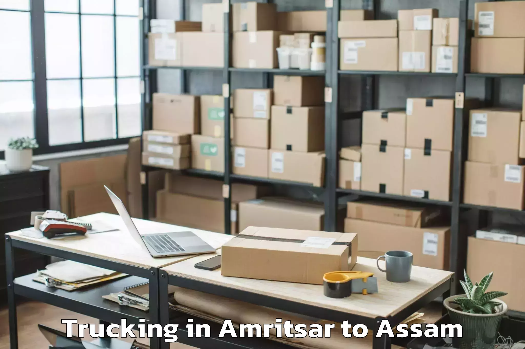 Affordable Amritsar to Abhilashi University Guwahati Trucking